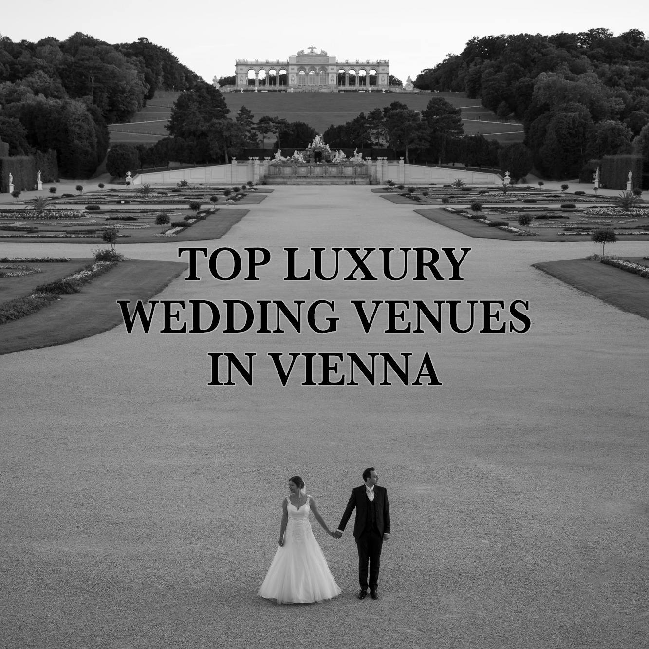 luxury-vienna-wedding-venues